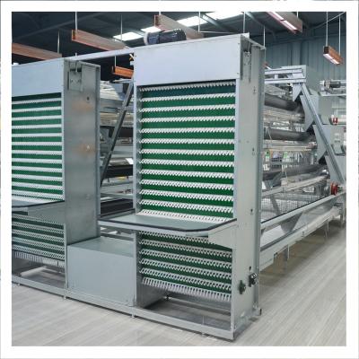 China 3/4/5/6/8 Rows For H Type Egg Layer Chicken Poultry Farm Equipment With Automatic Egg Farm Gathering Machine for sale