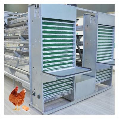 China Good Price 4 Tiers Automatic Poultry Farm Full Layer Cages for sale