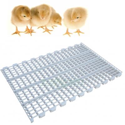 China Easy To Clean Poultry Farming Equipment Hot Selling Factory Price Plastic Slat Floor For Chicken Broiler Farm House for sale