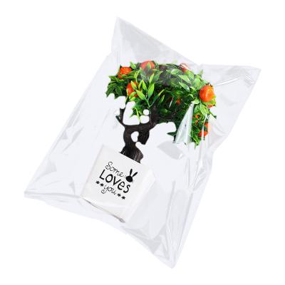 China ANTI-STATIC manufacturers can customize a variety of anti-fog vegetable bags food bags fruit opp opp bags for sale