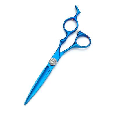 China Hair Cutting Scissors 2023 Blue Color Haircut Sharp 440C Type Hair Scissors for sale