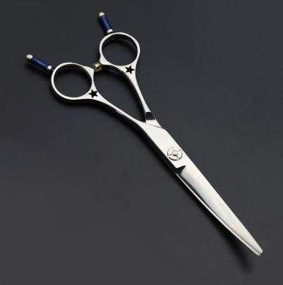 China Hair Cutting Scissors JAPAN 440C Stainless Steel Professional 6.0 Inch Double Tail Hair Scissors for sale