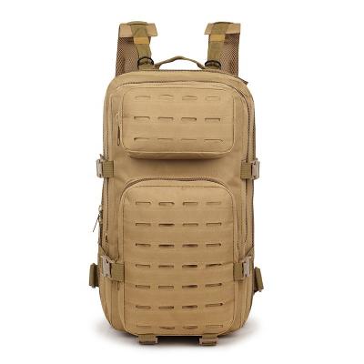 China Outdoor Sport Travel Hiking Hiking Camping DALI Wholesale Customized High Capacity Waterproof Outdoor Travel Hiking Camping Tactical Molle Backpack 25L Bag Men for sale