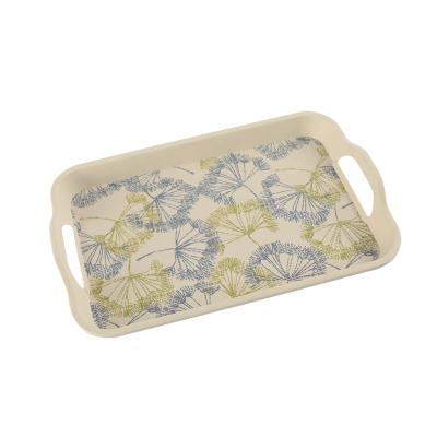 China Eco - Friendly Designer Baike Eco Household Rectangle Kitchen Supermarket Fruit Tray for sale