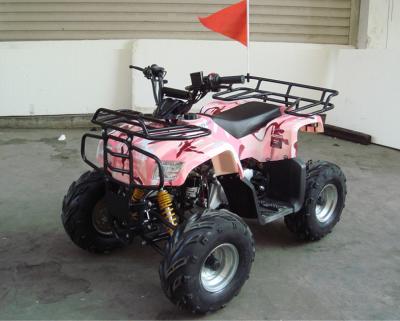 China Single Cylinder 110cc Atv Quad Bike SHINERAY 4 Stroke With Rear Rack for sale