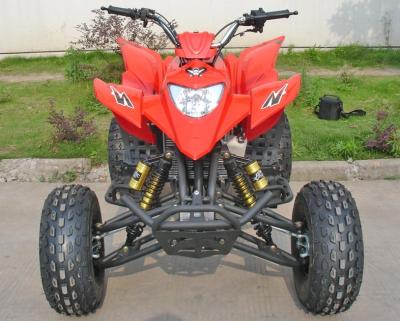 Chine 250CC véhicules utilitaires rouges ATV 8