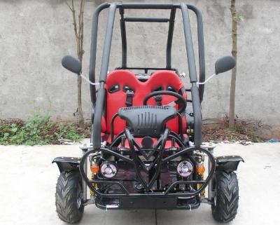 China Kart con errores/adulto del kart de SAMLL 110cc de Off Road con el doble Seat ajustable en venta