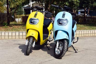 Chine Beau panneau électrique adulte d'affichage à cristaux liquides du scooter 1000w pour la route/lit de la rivière de montagne à vendre