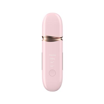 China Beauty Care Skin Scrubber Rose Facial Scrubber Ion Face Skin Deep Cleansing Rechargeable Ultrasonic Scrubber for sale