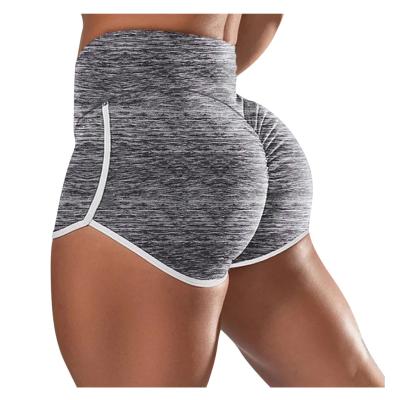 China Antibacterial Custom Seamless Women's Sportswear Cotton Cycling Shorts Quick Dry Fitness Plus Size Yoga Shorts for sale