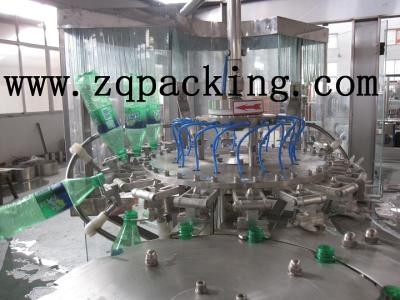 China Plastic bottle rotary rinsing machine for sale