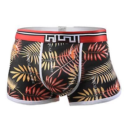 China New Design Cotton Bandwidth Printing Elastic QUICK DRY Sports Boxer Short Men for sale