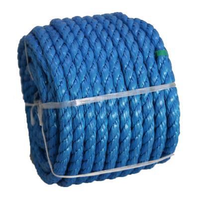 China Blue PP Polypropylene PP Truck Rope Packing Rope 6mm 12mm 10mm 8mm PP Poly for sale