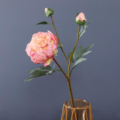 China High Quality Eco-friendly Artificial Dried Peonies Flower Artificial Silk Peony Flowers For Wedding Decor for sale