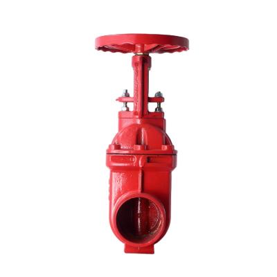 China Fire Fighting General Flanged Double Stem Gate Valve Cast Iron Rising Gate Valve for sale