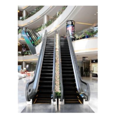 China Contemporary 800mm Step 9000 People / Moving Escalator 0.5m/s AC Hr Walk Geared Traction System Indoor Home Escalator for sale