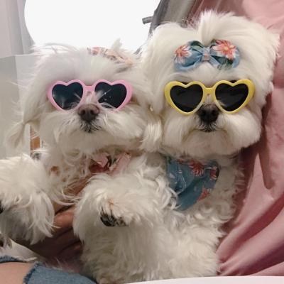 China Hot Selling Heart Pet Sunglasses Pet Clothing Accessories Pet Long Decorative Type Sunglasses Cat Dog Sunglasses for sale