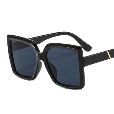 China New Big Frame Mocoo M322 Vintage Color Square Fashion Sun Glasses Oversized Sun Glasses For Women for sale