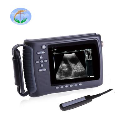 China Cheap Steel Veterinary Portable Ultrasound Machine For Cattle Sheep Pregnancy Scanner for sale