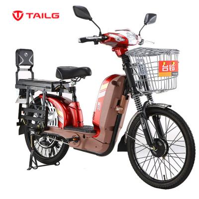 China Durable Heavy Duty Carbon Steel TAILG Cargo Electric Bike From China for sale