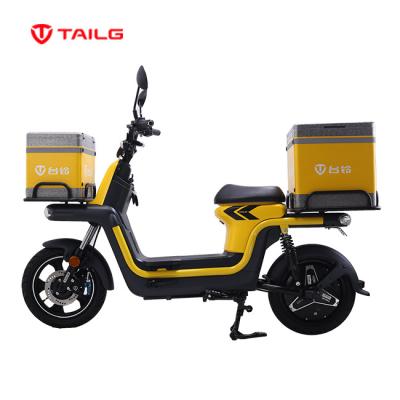 China DongGuang TAILG multifunctional electric bike cargo bicicleta type electrica for sale for sale