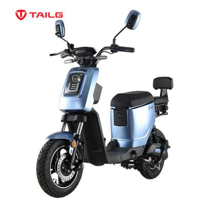 China TAILG 350W Motor 48V/20Ah Lithium Battery Luxury Electric Bike with LCD Display for sale