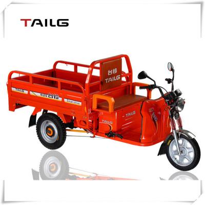 China Passenger and Cargo Tailg 800W Passenger and Cargo Electric Charging Tricycle for sale