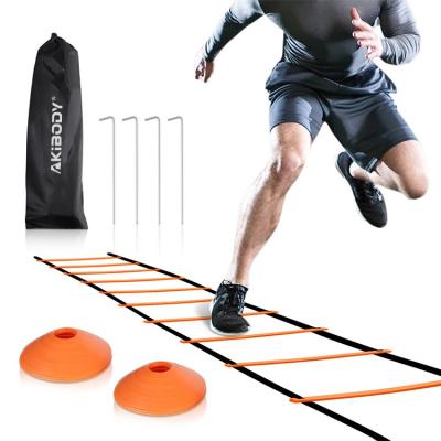 China Speed ​​Resistance Explosiveness Agility Training Hot Durable And Adjustable Training Agility Speed ​​Performance 2020 Good Ladder for sale