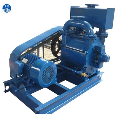 China Automotive 2BEA Types Water Ring Vacuum Pump In Zibo for sale