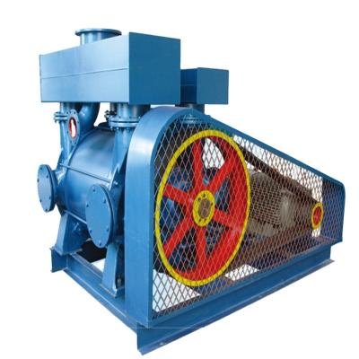 China Automotive Industry Stable Function Customized Working Principle Vacuum Pump for sale