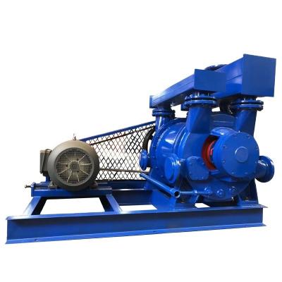 China High Quality High Pressure Liquid Water High Pressure Ring Vacuum Pump for sale