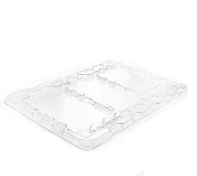 China 100% Food Grade Materials Wholesale Eco-Friendly High Quality Plastic Pet Blister Tray Big Size Protecting Tray for sale