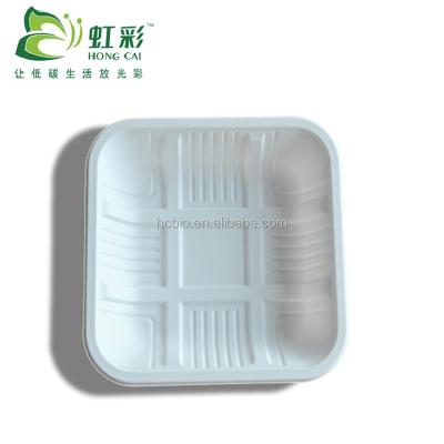 China T03A Disposable Biodegradable Plastic Disposable Trays For Sale for sale