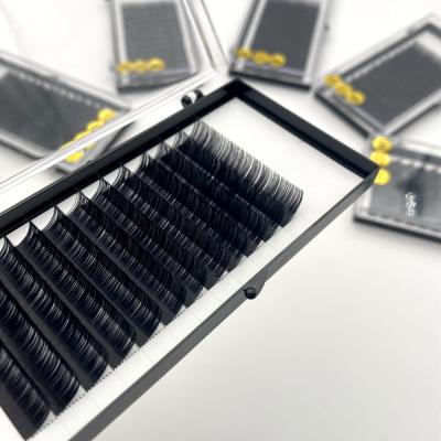 China 3d Mink Lashes Extension Easy Fast Fan Eyelash Extension Light Individual Blooming Volume for sale