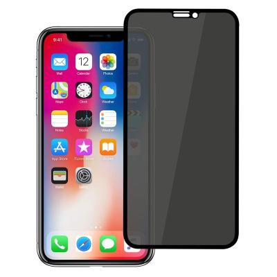 China Easy Install 3D Full Coverage Privacy Screen Protector For iPhone 13/13Pro Max/12/11/Xs Max/8/7/6 Anty- Spy Tempered Glass for sale