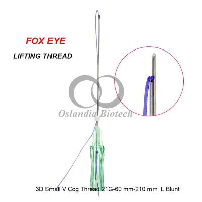 China Dermabelle Lift PDO Thread 3D Gog Small V 21G 60mm Korean Lifting Threads for Fox Eye or Cat Eyes Raising the Eyebrows 20 Pcs L Blunt Needle for sale