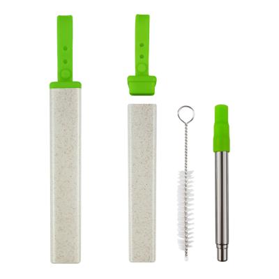 China Metal Disposable Straws With Cleaning Brush New Design Biodegradable Bamboo Wheat Long Reusable Drinking Straws YC1316 for sale