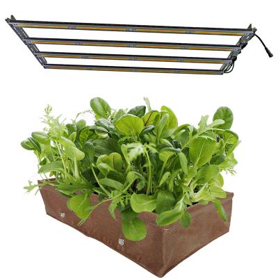 China Starting from seed led to grow light for sale