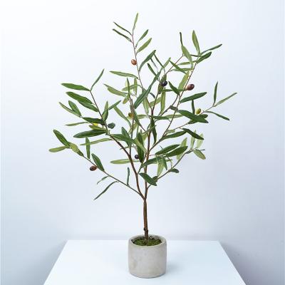 China Fake Olive Tree Real Trunk Indoor Olive Trees Decorative Art Decor 75cm Size With Fruits for sale