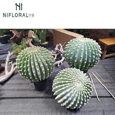 China Artificial Succulent Plant Art Decor Home Decor Cacti Large Decorative Bonsai Cacti Garden Plants for sale