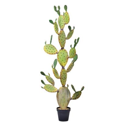 China Art Decor nature popular design artificial cactus 190cm (74.8