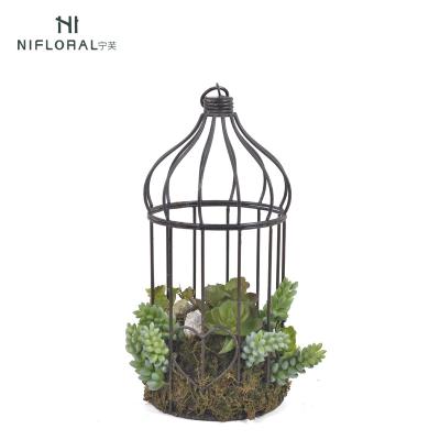 China Art Decor Hanging Artificial Succulent Plants in Cage with Real Moss for sale