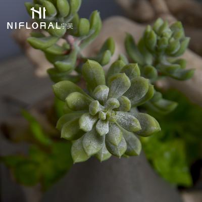 China Art Decor Home Garden Fake Decorative Cheap Succulent Greenery Artificial Succulents Wholesale for sale