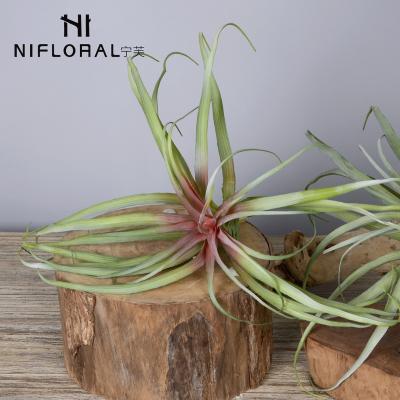 China Real Art Decor Alibaba Contact Wholesale Decorative Accessories Colorful Faux Air Plants Golden Supplier for sale