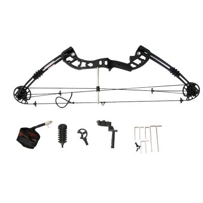 China Hunting Amazon Archery's Best-Selling Hunting Set and Compound Bow Archery Accessories for sale