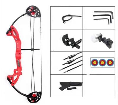 China Hunting Safety Archery Arrow ABS Material Kids Compound Archery Set Gift Set For Kids for sale