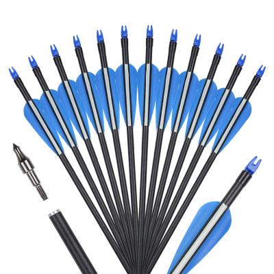 China Hunting China 6mm Fiberglass Arrow Feather Archery Practice Arrow Blue And White for sale