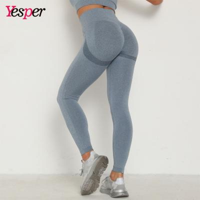 China Breathable In Seamless Butt Lift Gym Sports Panties Women Workout Fitness Yoga Gaiters for sale