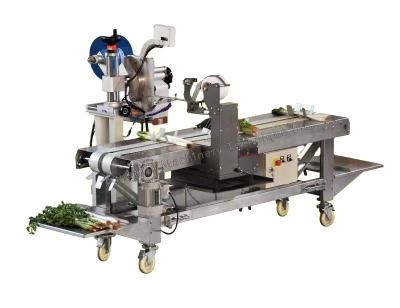 China Vegetable Flowers Pair Folding Labeling Machine For Vegetable + Flower Ande Fruit for sale