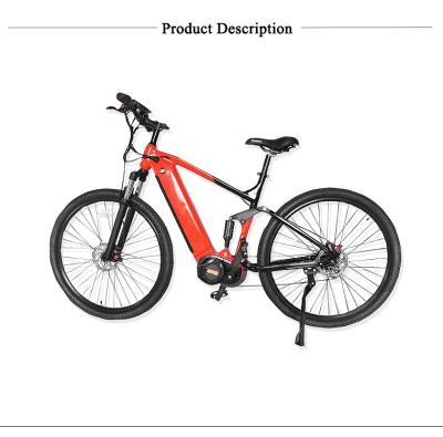 China Songlang Factory Wholesale Tire Aluminum Alloy Motor High Power Folding Electric Bicycles china OEM for sale